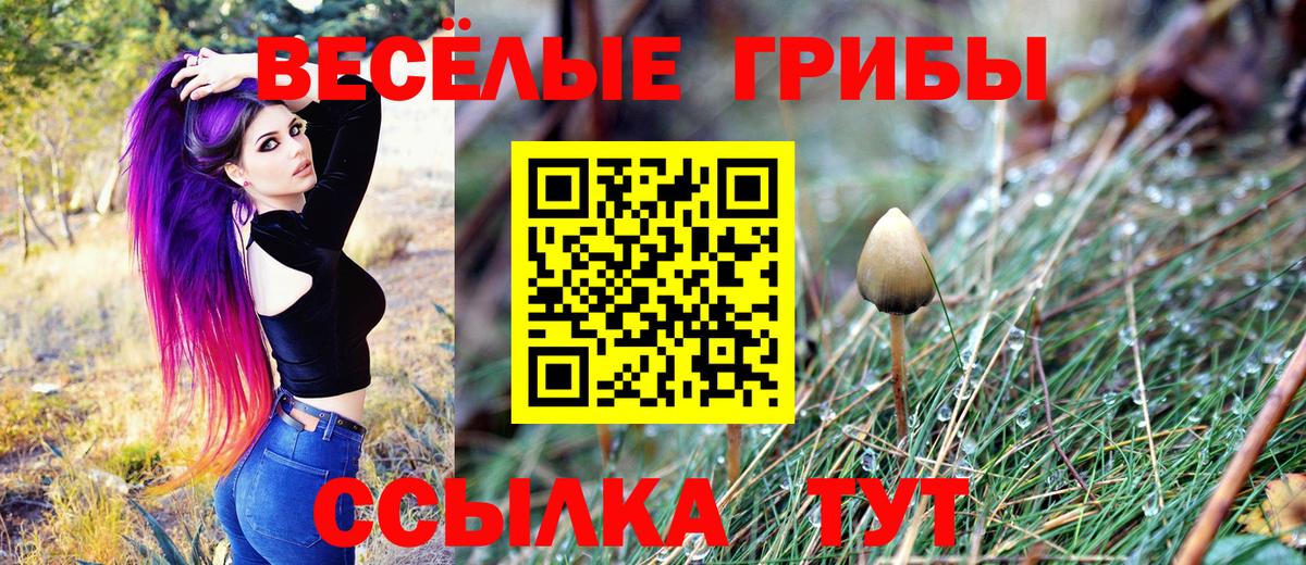 Новый Уренгой  Галлюциногенные грибы ЛСД  Вход с VPN 